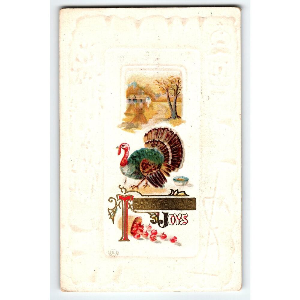 Vintage 1916 Thanksgiving Postcard Turkey Lithograph Scenic Farm